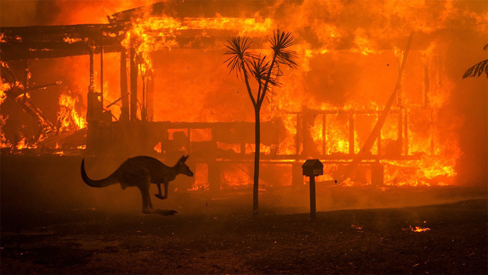 bushfires